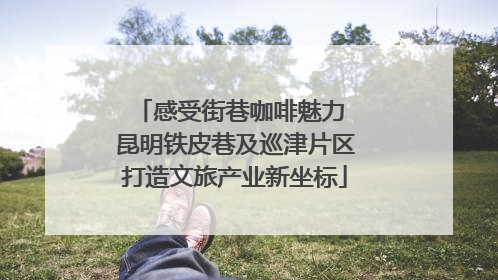 感受街巷咖啡魅力 昆明铁皮巷及巡津片区打造文旅产业新坐标
