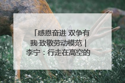 感恩奋进 双争有我·致敬劳动模范｜李宁：行走在高空的“电网卫士”