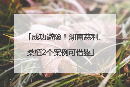 成功避险！湖南慈利、桑植2个案例可借鉴