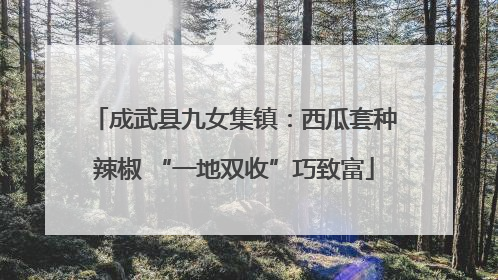 成武县九女集镇：西瓜套种辣椒 “一地双收”巧致富