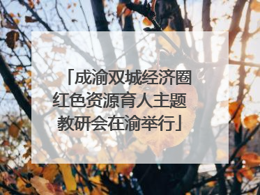 成渝双城经济圈红色资源育人主题教研会在渝举行