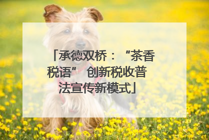 承德双桥：“茶香税语” 创新税收普法宣传新模式