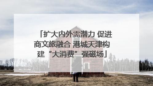 扩大内外需潜力 促进商文旅融合 港城天津构建“大消费”强磁场