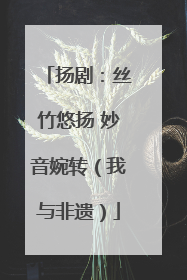 扬剧：丝竹悠扬 妙音婉转（我与非遗）