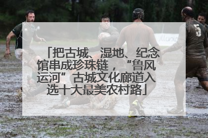 把古城、湿地、纪念馆串成珍珠链，“鲁风运河”古城文化廊道入选十大最美农村路