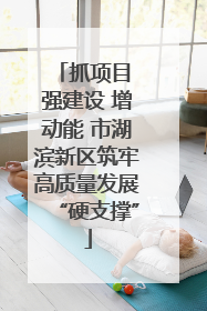 抓项目 强建设 增动能 市湖滨新区筑牢高质量发展“硬支撑”
