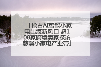 抢占AI智能小家电出海新风口 超100家跨境卖家探访慈溪小家电产业带