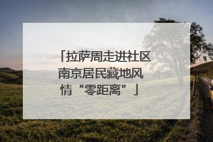 拉萨周走进社区 南京居民藏地风情“零距离”
