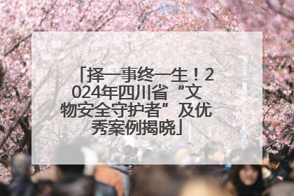 择一事终一生！2024年四川省“文物安全守护者”及优秀案例揭晓