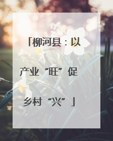 柳河县：以产业“旺”促乡村“兴”