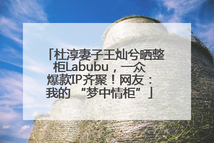 杜淳妻子王灿兮晒整柜Labubu，一众爆款IP齐聚！网友：我的 “梦中情柜”