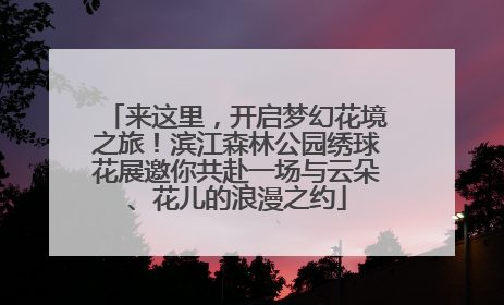 来这里，开启梦幻花境之旅！滨江森林公园绣球花展邀你共赴一场与云朵、花儿的浪漫之约