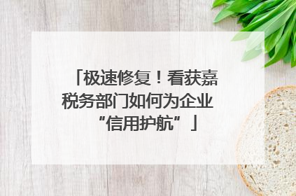 极速修复！看获嘉税务部门如何为企业“信用护航”