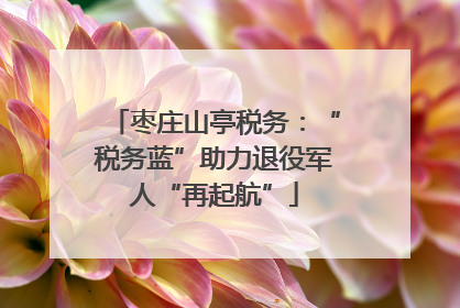 枣庄山亭税务：“税务蓝”助力退役军人“再起航”