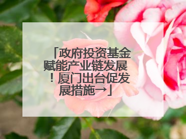 政府投资基金赋能产业链发展！厦门出台促发展措施→