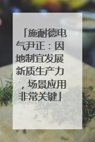 施耐德电气尹正：因地制宜发展新质生产力，场景应用非常关键