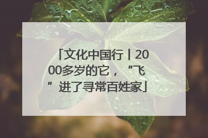文化中国行丨2000多岁的它，“飞”进了寻常百姓家