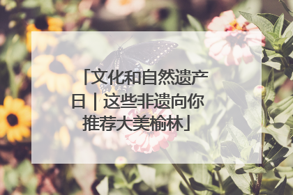 文化和自然遗产日｜这些非遗向你推荐大美榆林