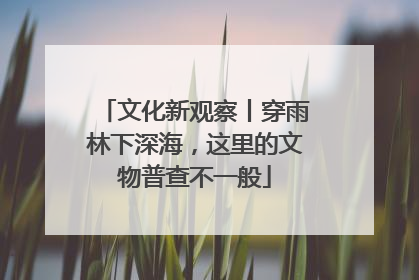 文化新观察丨穿雨林下深海，这里的文物普查不一般