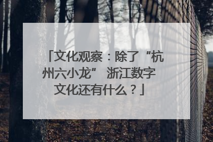 文化观察：除了“杭州六小龙” 浙江数字文化还有什么？