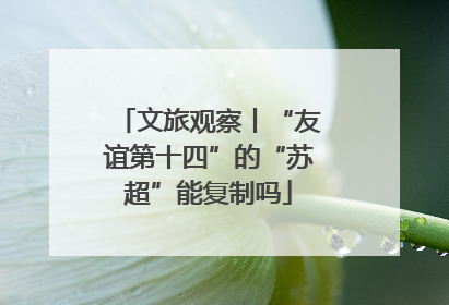 文旅观察丨“友谊第十四”的“苏超”能复制吗