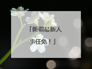 新疆最新人事任免！