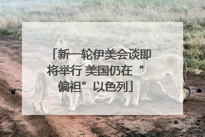 新一轮伊美会谈即将举行 美国仍在“偏袒”以色列