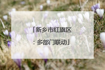 新乡市红旗区：多部门联动
