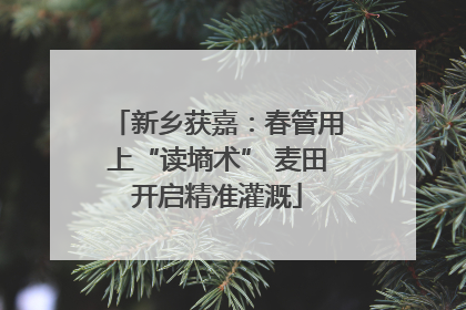 新乡获嘉：春管用上“读墒术” 麦田开启精准灌溉