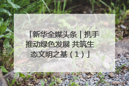 新华全媒头条｜携手推动绿色发展 共筑生态文明之基（1）