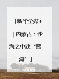 新华全媒+｜内蒙古：沙海之中建“蓝海”