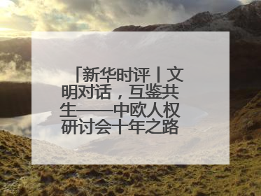 新华时评丨文明对话，互鉴共生——中欧人权研讨会十年之路的深刻启示