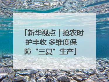 新华视点｜抢农时 护丰收 多维度保障“三夏”生产
