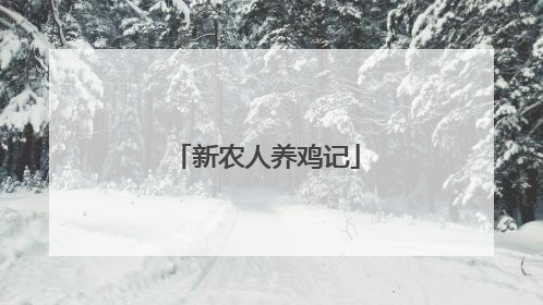 新农人养鸡记