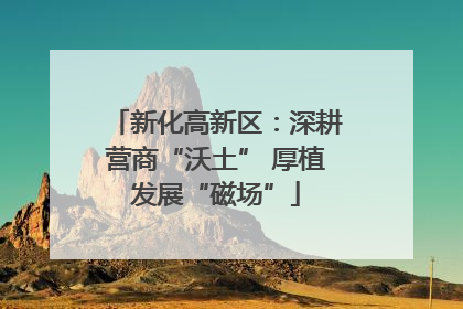 新化高新区：深耕营商“沃土” 厚植发展“磁场”