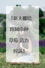 新大棚培育30余种草莓 活力拉满