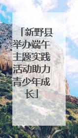 新野县举办端午主题实践活动助力青少年成长