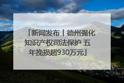 新闻发布丨德州强化知识产权司法保护 五年挽损超930万元
