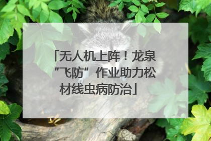 无人机上阵！龙泉“飞防”作业助力松材线虫病防治