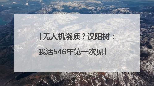 无人机浇顶？汉阳树：我活546年第一次见