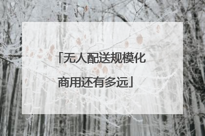 无人配送规模化商用还有多远