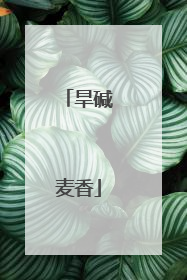旱碱麦香