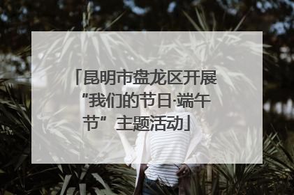 昆明市盘龙区开展“我们的节日·端午节”主题活动