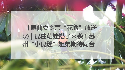 昆曲夏令营“花絮”放送⑦｜昆曲萌娃搭子来袭！苏州“小昆迷”姐弟期待同台演绎“姑苏水磨调”
