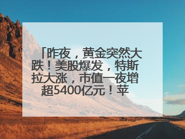 昨夜，黄金突然大跌！美股爆发，特斯拉大涨，市值一夜增超5400亿元！苹果传来大消息