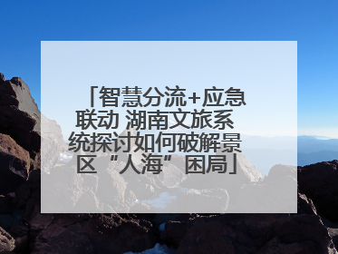 智慧分流+应急联动 湖南文旅系统探讨如何破解景区“人海”困局