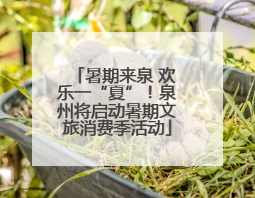 暑期来泉 欢乐一“夏”！泉州将启动暑期文旅消费季活动