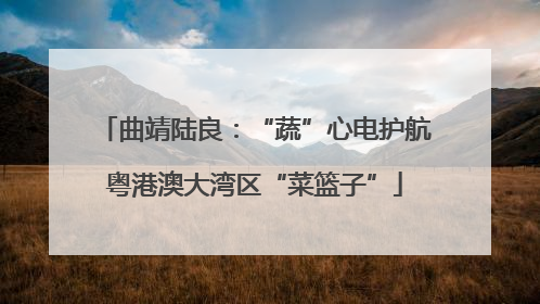 曲靖陆良：“蔬”心电护航粤港澳大湾区“菜篮子”