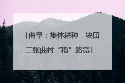 曲阜：集体耕种一块田 二张曲村“稻”路宽