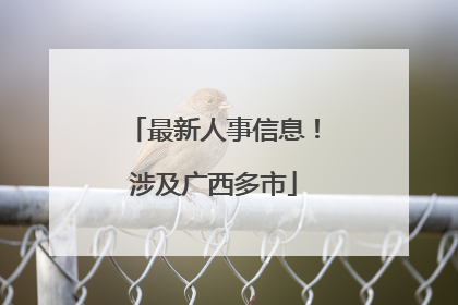 最新人事信息!涉及广西多市